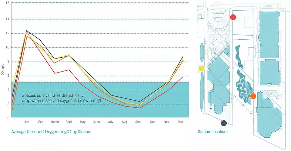 2018ASLA 研究奖得主 | 巴尔的摩漂浮湿地改善水质，促进生物多样性-10