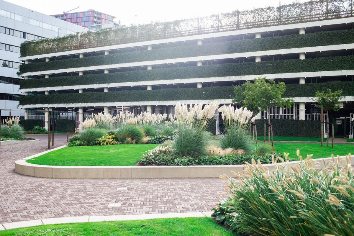 丨荷兰鹿特丹-5