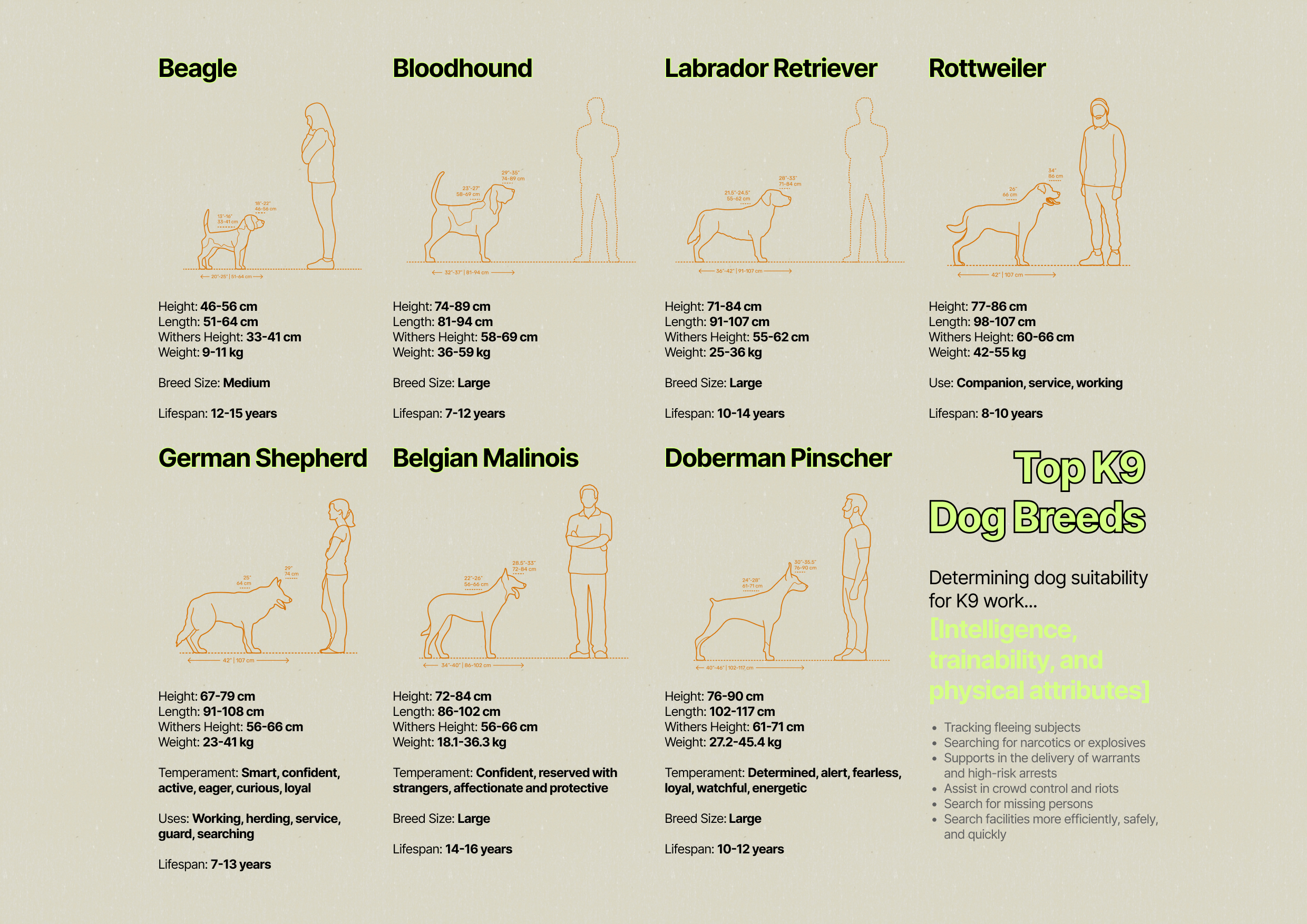 Portfolio - K9 Security Service Headquarters-8