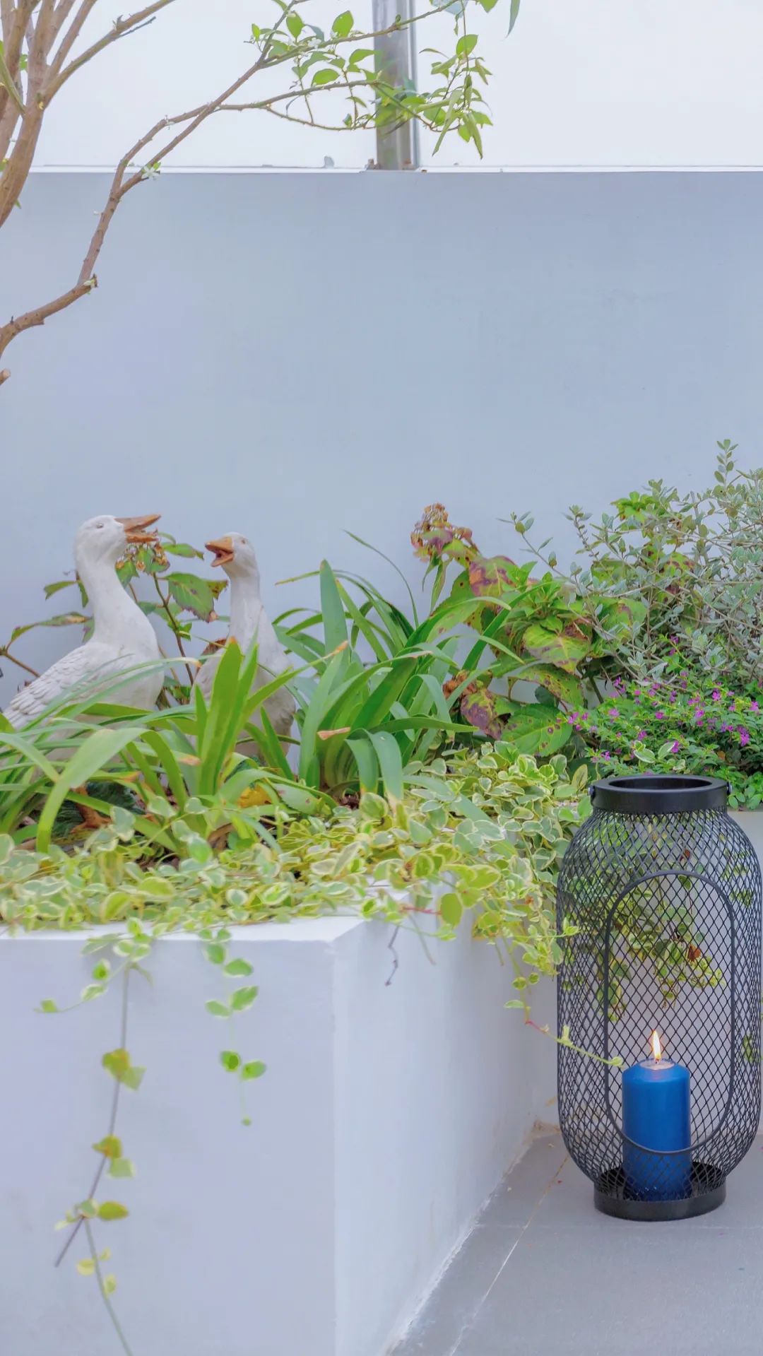 花园戏精 · 庭院小品的艺术魅力丨中国上海-24