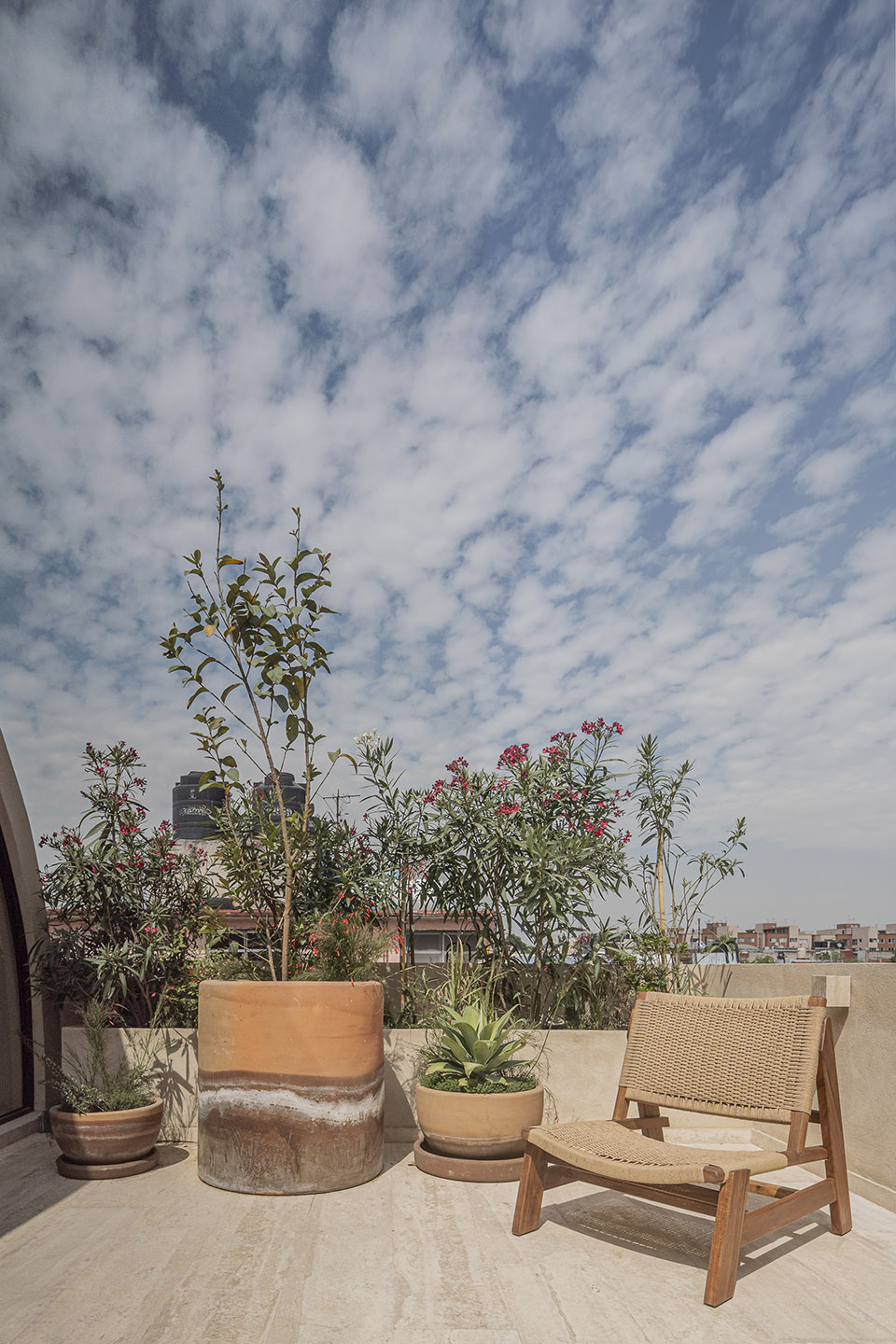 Mariano Azuela 194住宅楼丨墨西哥丨Bloqe arquitectura-42