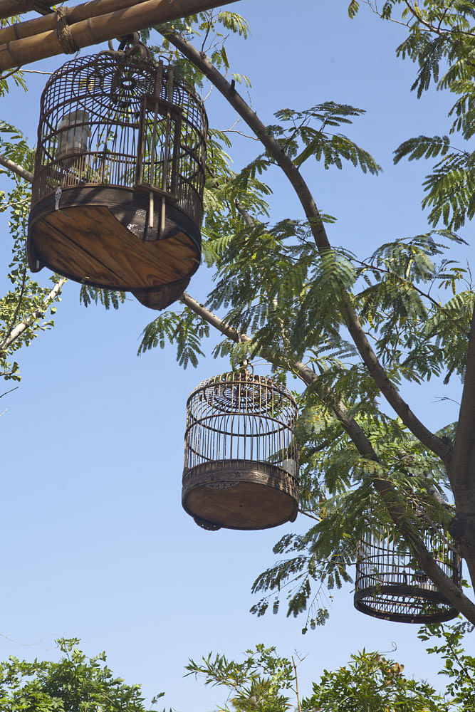 2011西安国际园艺博览会景观项目丨中国西安丨Miralles Tagliabue EMBT-40