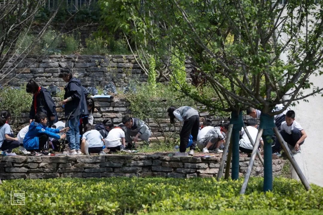 重庆两江人民小学景观更新设计丨中国重庆丨重庆远兮景观设计工程有限公司-94