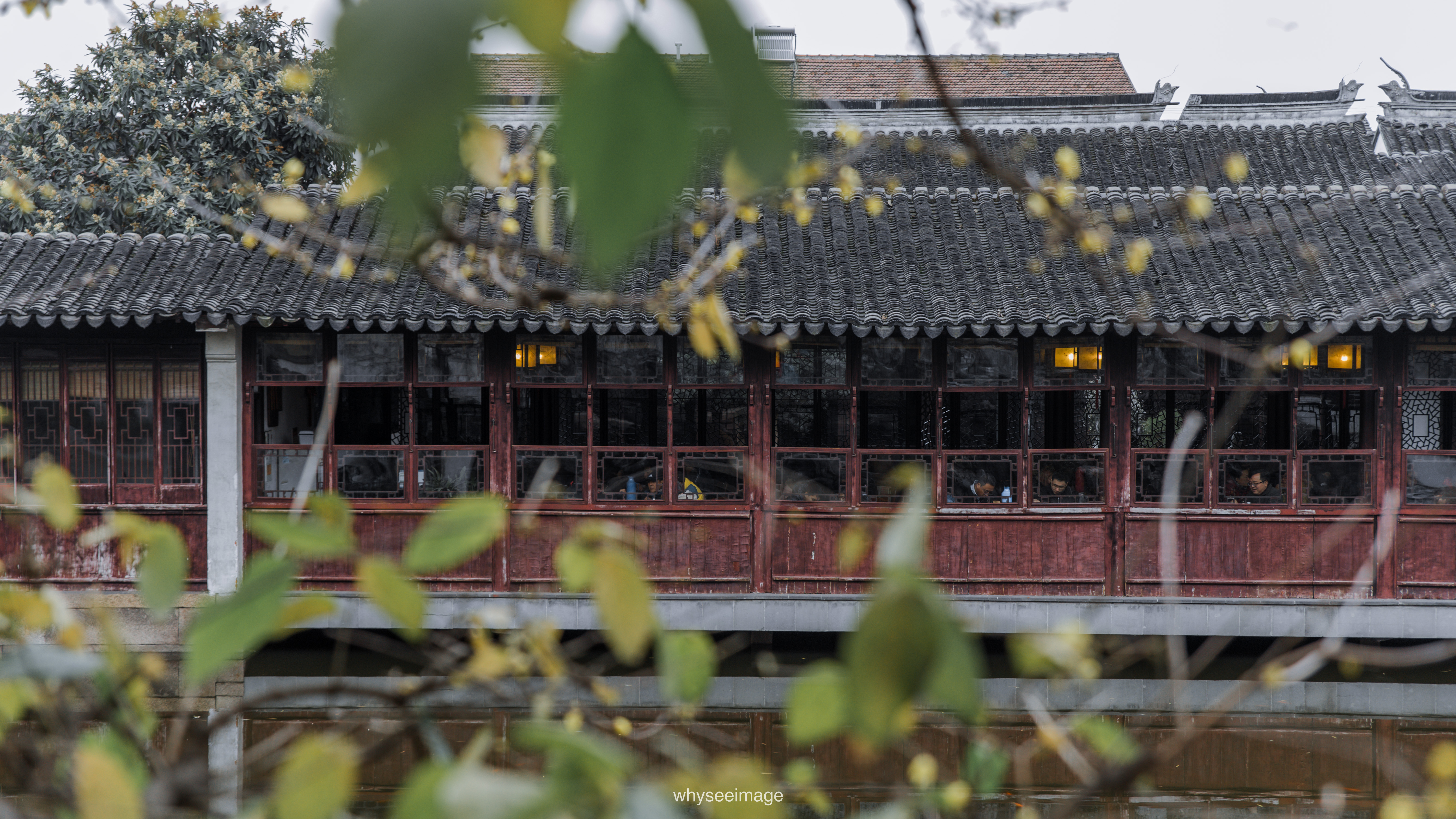 艺圃 Garden of Cultivation丨中国苏州丨whyseeimage-66