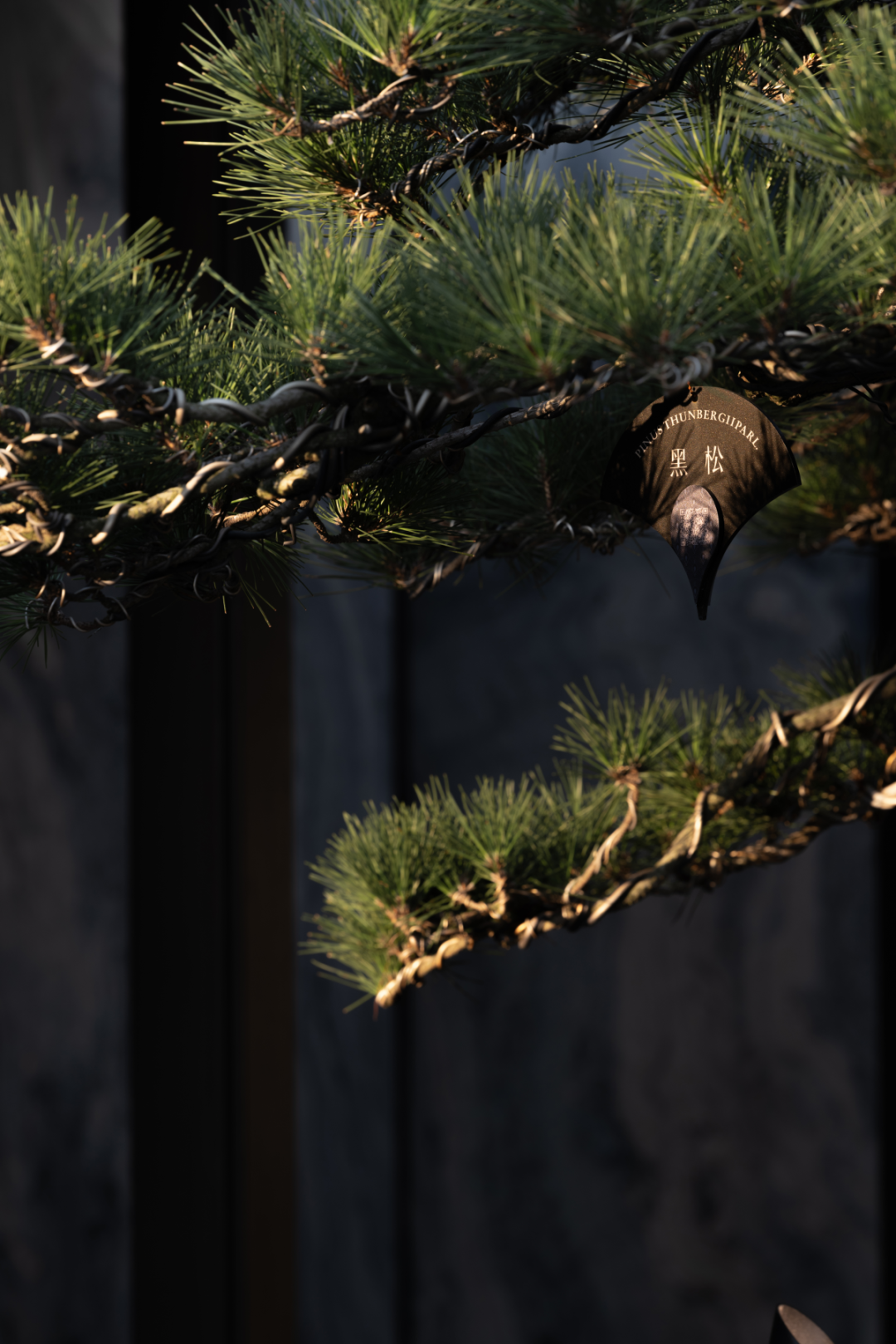 义乌凤起潮鸣,凤起迎恩门 祥光映瑞辰丨中国金华丨上海柏熙标识有限公司-20