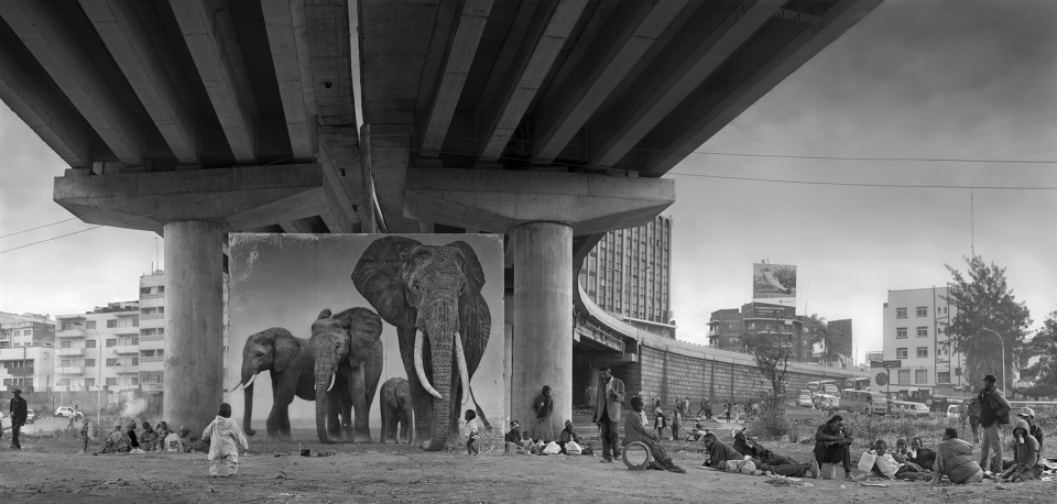 《尘土继承》——香港 Blue Lotus 画廊 Nick Brandt 摄影展-6