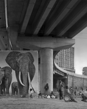 《尘土继承》——香港 Blue Lotus 画廊 Nick Brandt 摄影展