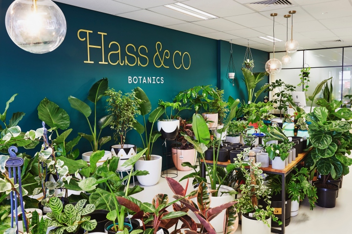 Hass & Co Botanics 店-35