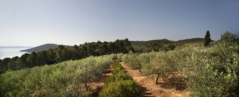 丨克罗地亚丨克罗地亚建筑师Nikola Bašić-70