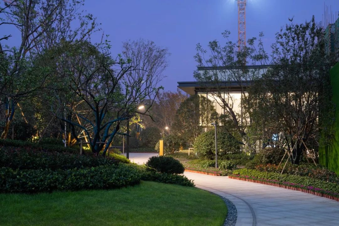 梦寻太湖畔,蝶舞雁栖湖-199