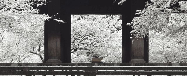 京都禅意庭院，演绎日本自然之美-1