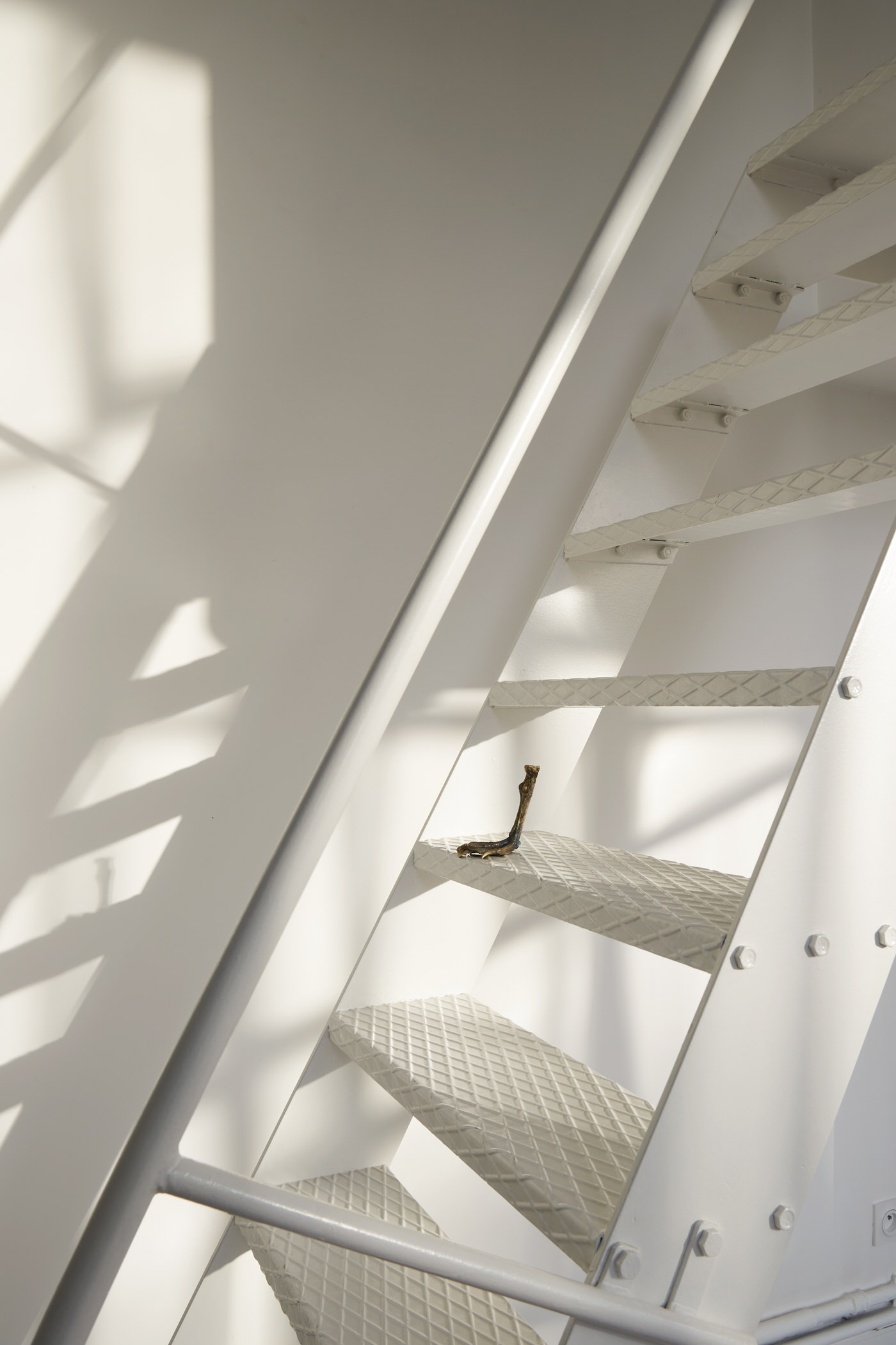 Genius Loci 沉浸式展览丨法国巴黎丨Benoît Maire-21