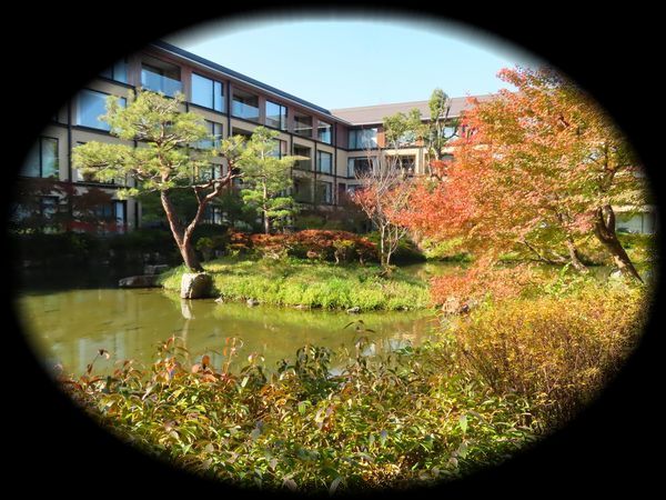 积翠园（平重盛「小松邸」迹庭园）丨日本京都-29