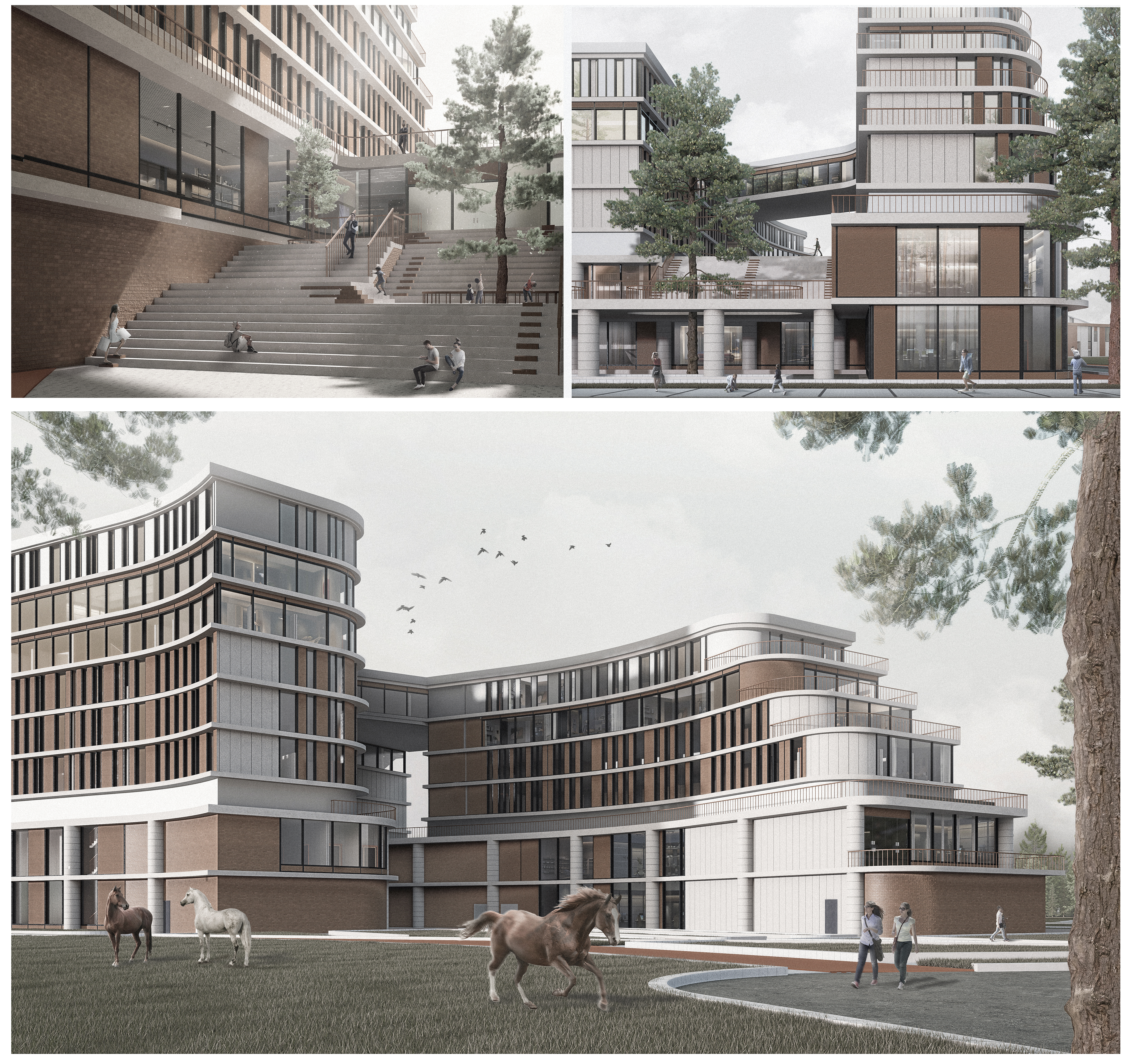 中心马术运动中心及跑马场（白俄罗斯博里索夫）-18