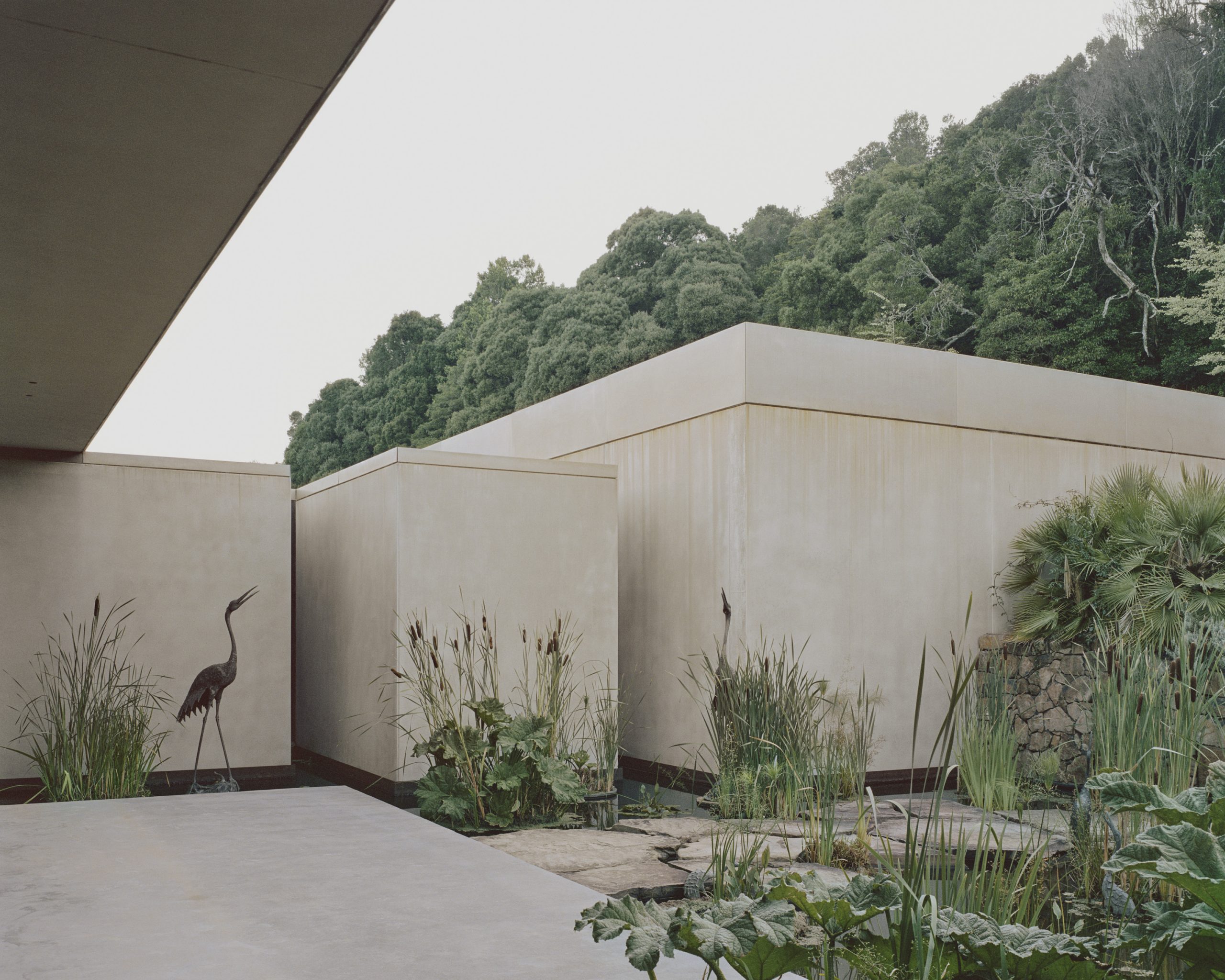 帕洛玛丨澳大利亚悉尼丨Fearon Hay-20