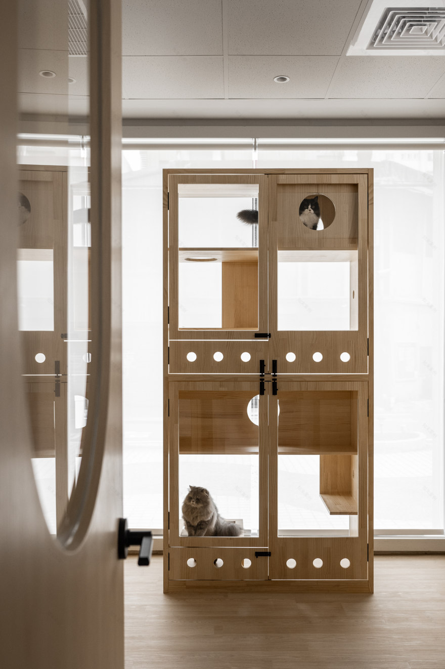 溫叨,Ourfamily丨Detail Studio Team-15