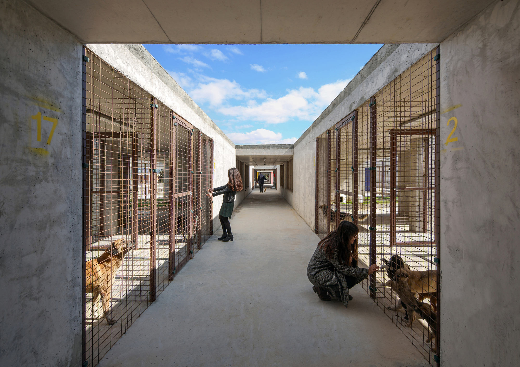 Pako Street Animal Social Life Campus  / Mert Uslu Architecture-16