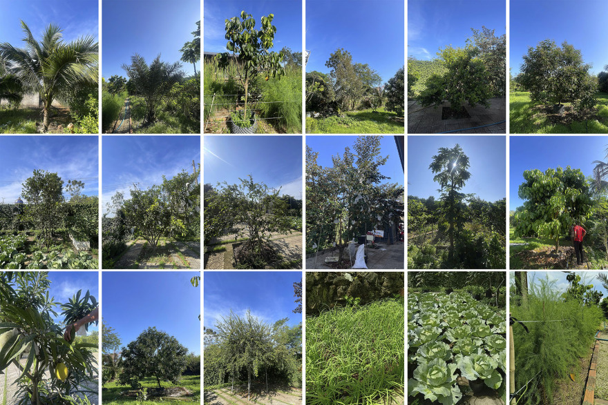 第二农居丨越南丨CTA|Creative Architects-30