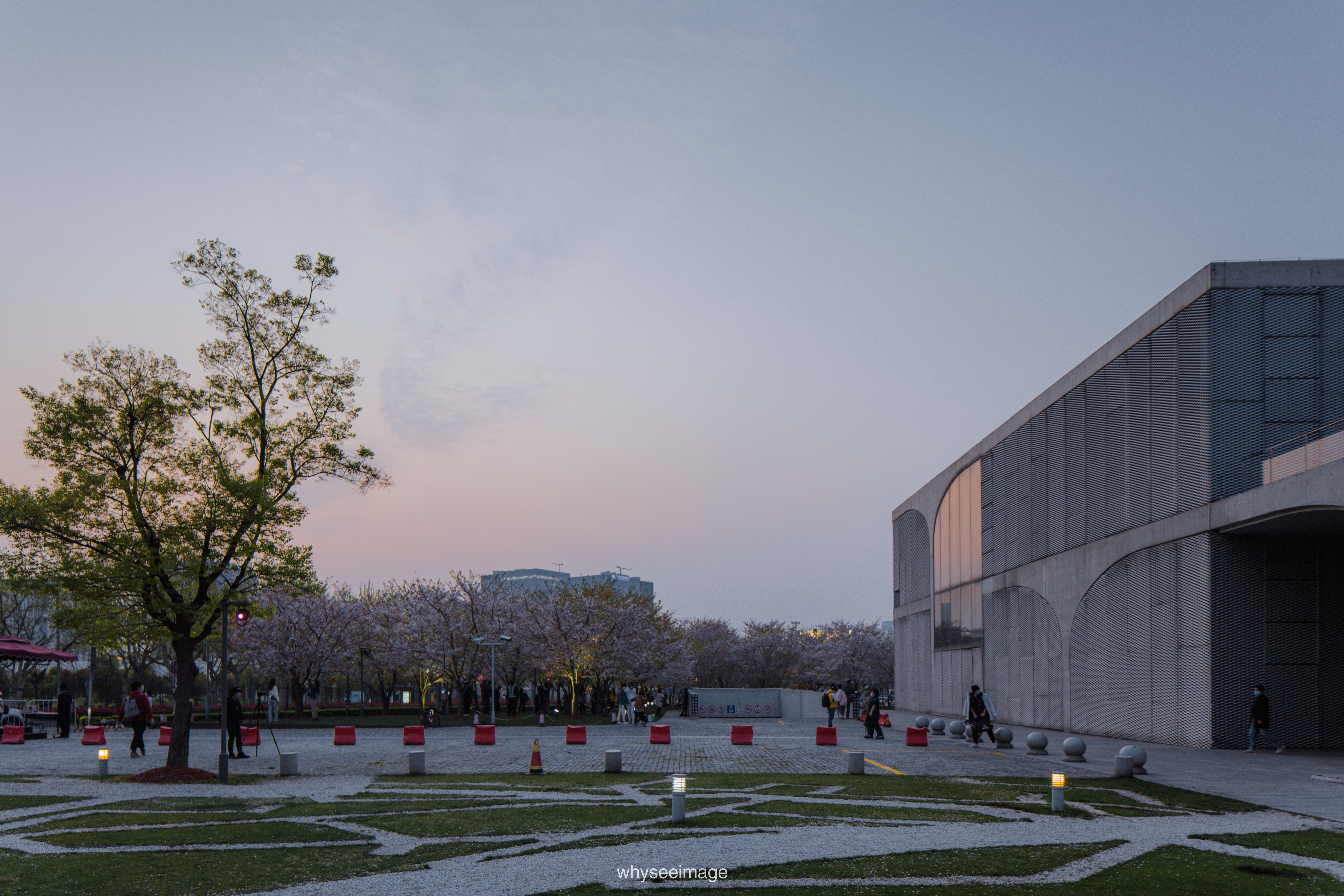 樱花+龙美术馆丨中国上海丨大舍建筑设计工作室-161