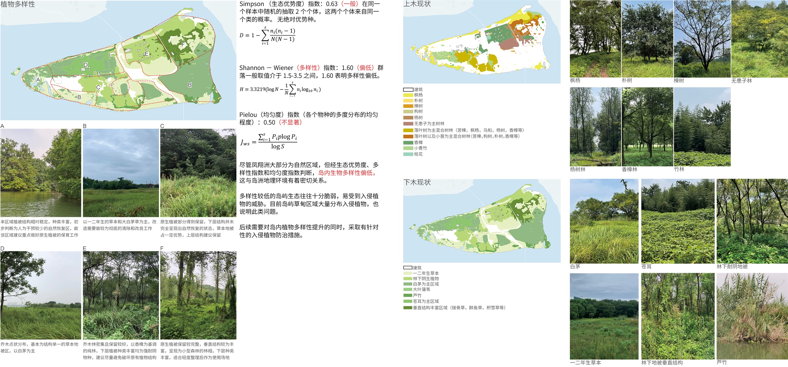 凤翔洲水文化公园丨中国衢州丨张唐景观-22