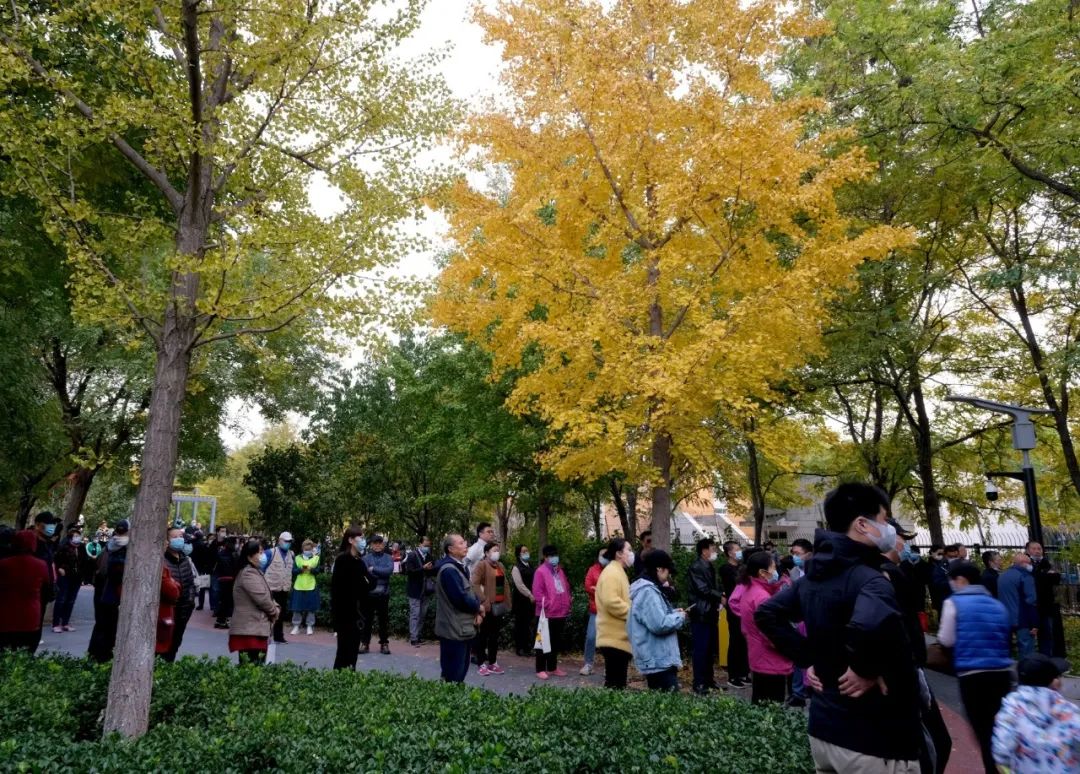 经开区9号绿地景观提升项目（海棠公园）丨中国北京丨北林地景-51