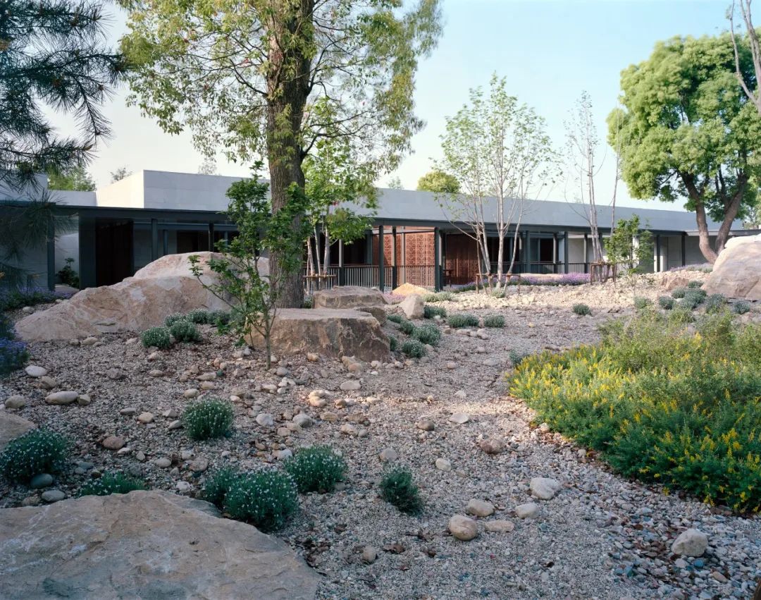 泥洹院丨中国上海丨七月合作社-36