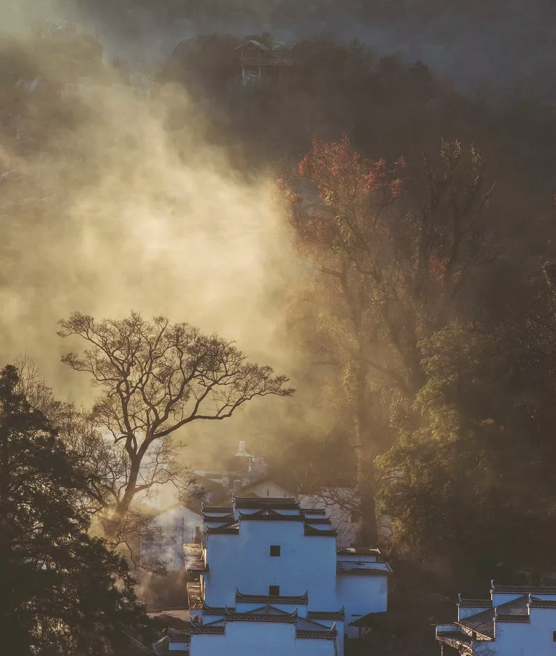 归心·乡愁 · 东坡记忆中的宜兴早春丨誰最中國-41