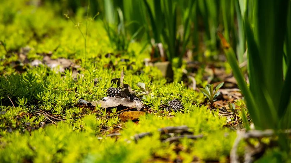 醉美泾川乡村振兴EPC建设项目——皖南川藏线沿线环境整治|亦境作品-56