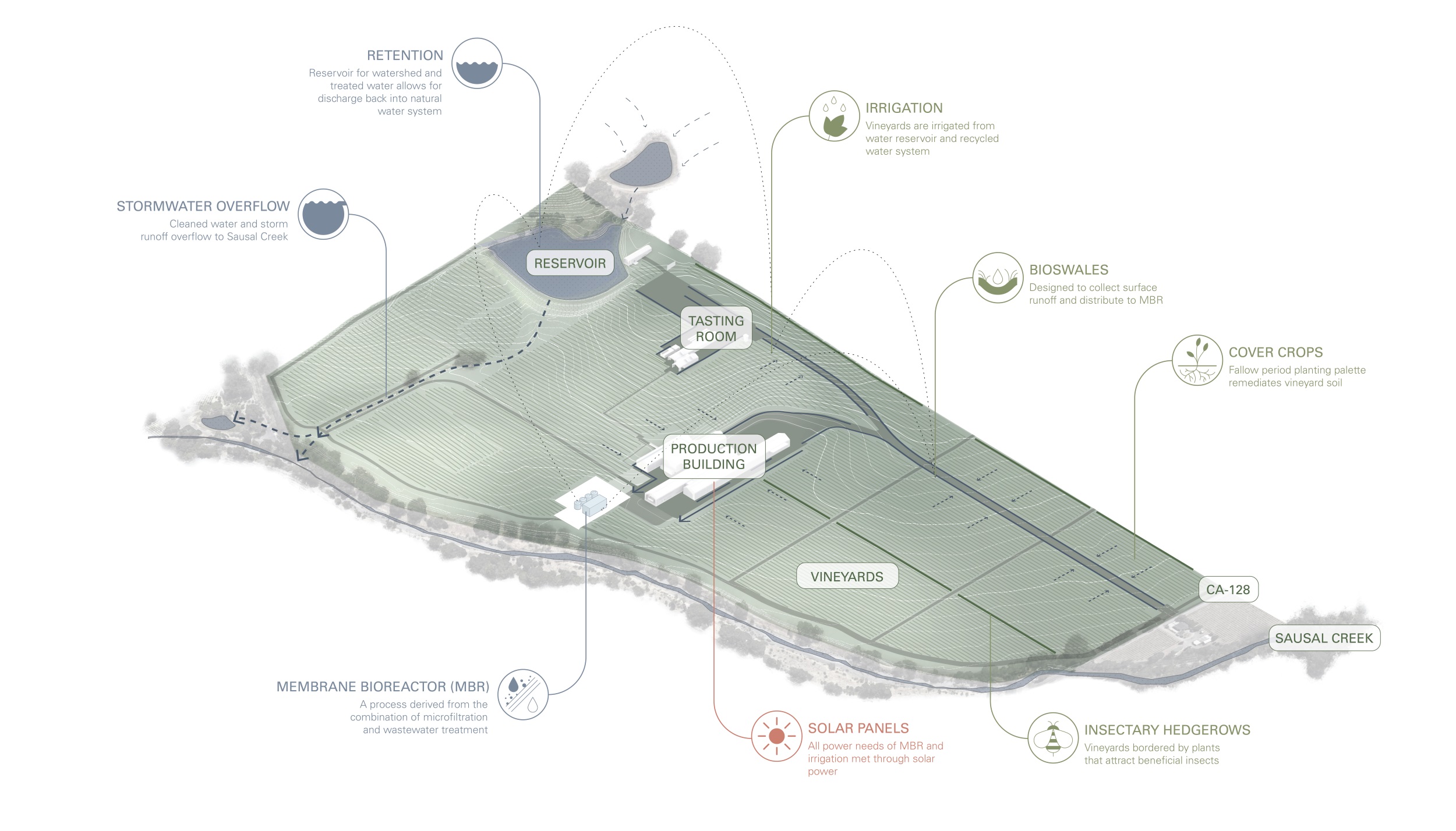 银橡酒庄 · 美国最具环境效益的零净水零能源酒庄丨Munden Fry Landscape Associates-19