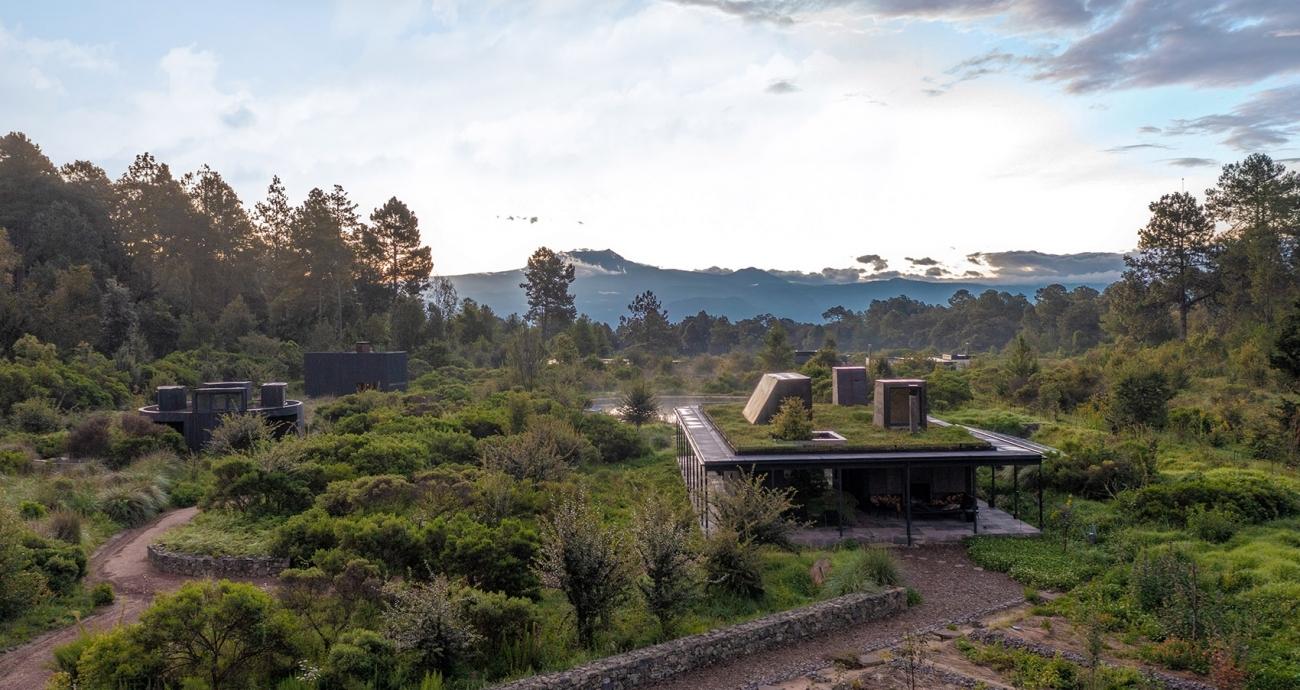 墨西哥雨水收集之家丨Robert Hutchison Architecture-19