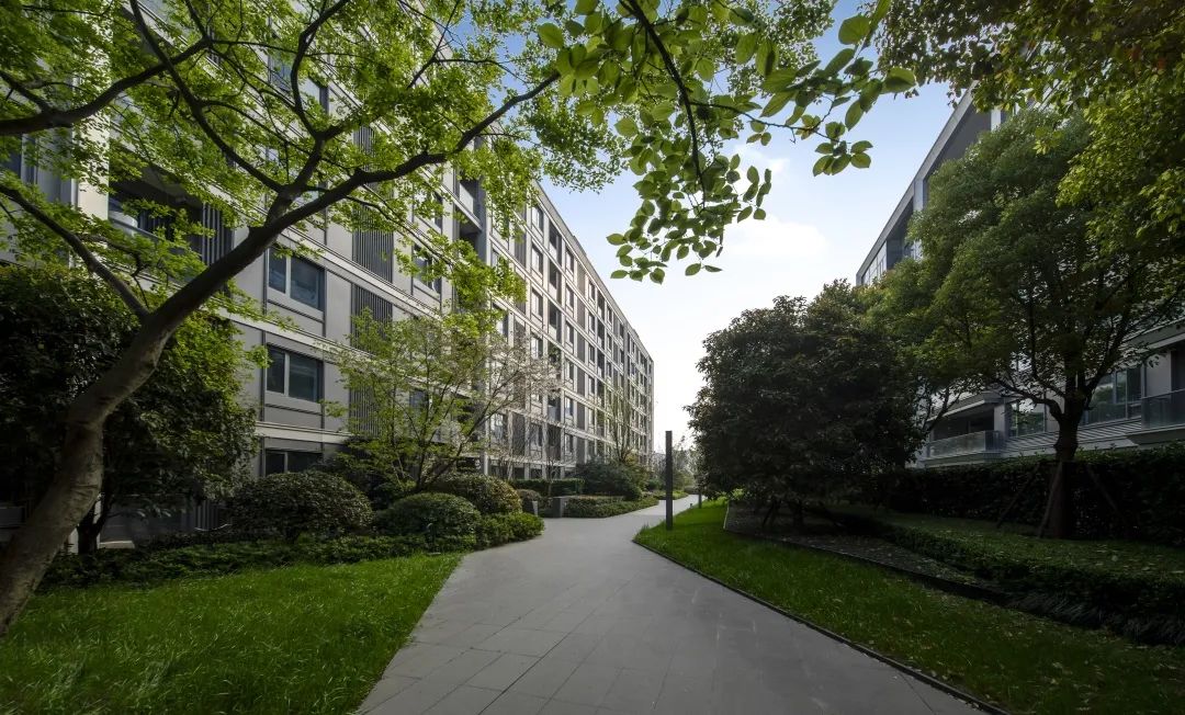 中南作品 | 杭州棠玥湾，屹立城市的艺术坐标-29