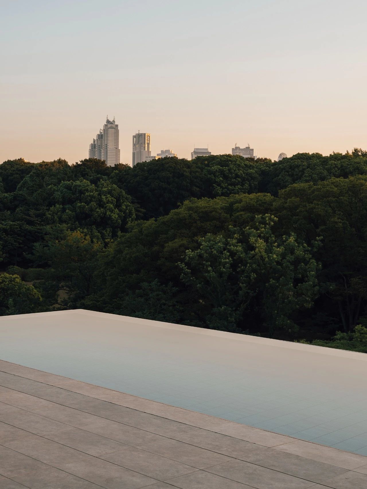 代代木公园树干酒店丨Keiji Ashizawa-47