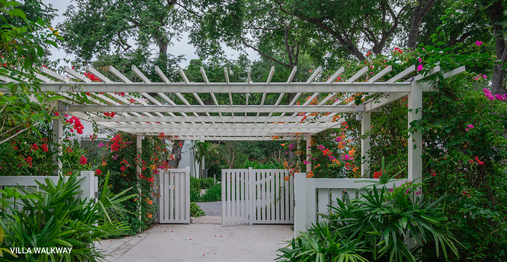 The Standard 度假区景观设计丨泰国丨Shma-31