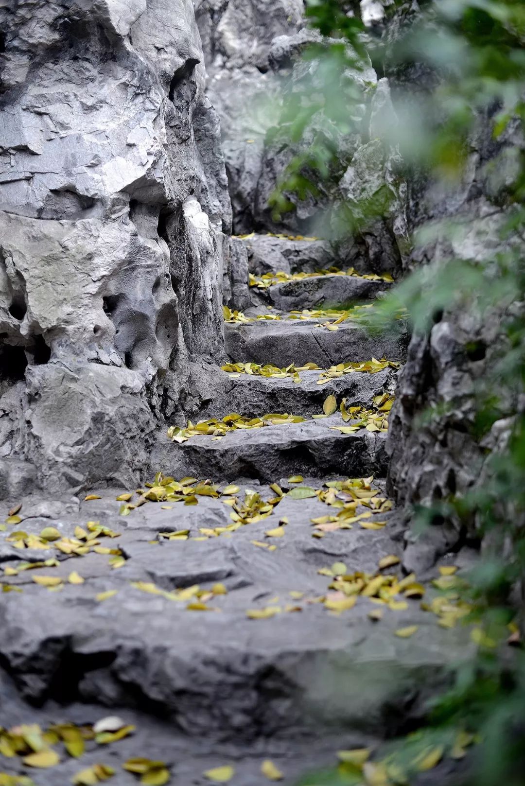 造园于心 | 苏州园林的人品与艺术-4