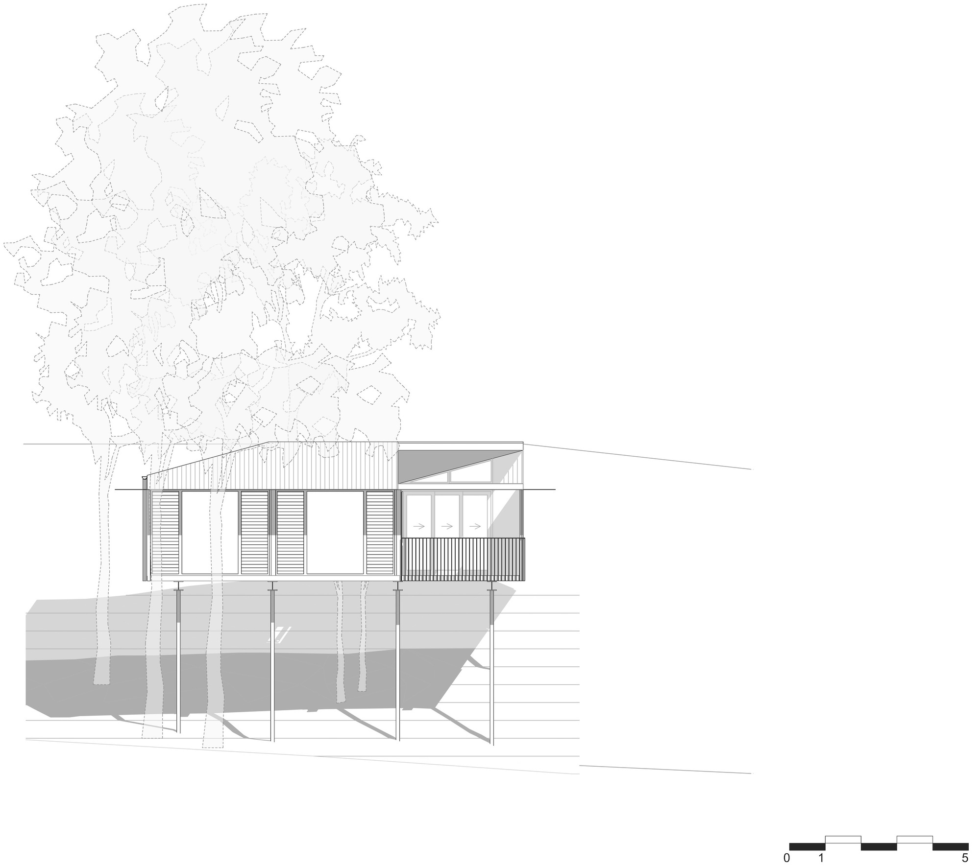 日出工作室丨澳大利亚布里斯班丨Bark Design Architects-37