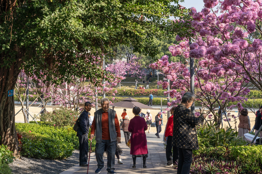 深圳南山后海中心河公园丨中国深圳丨深圳翰博设计股份有限公司-132