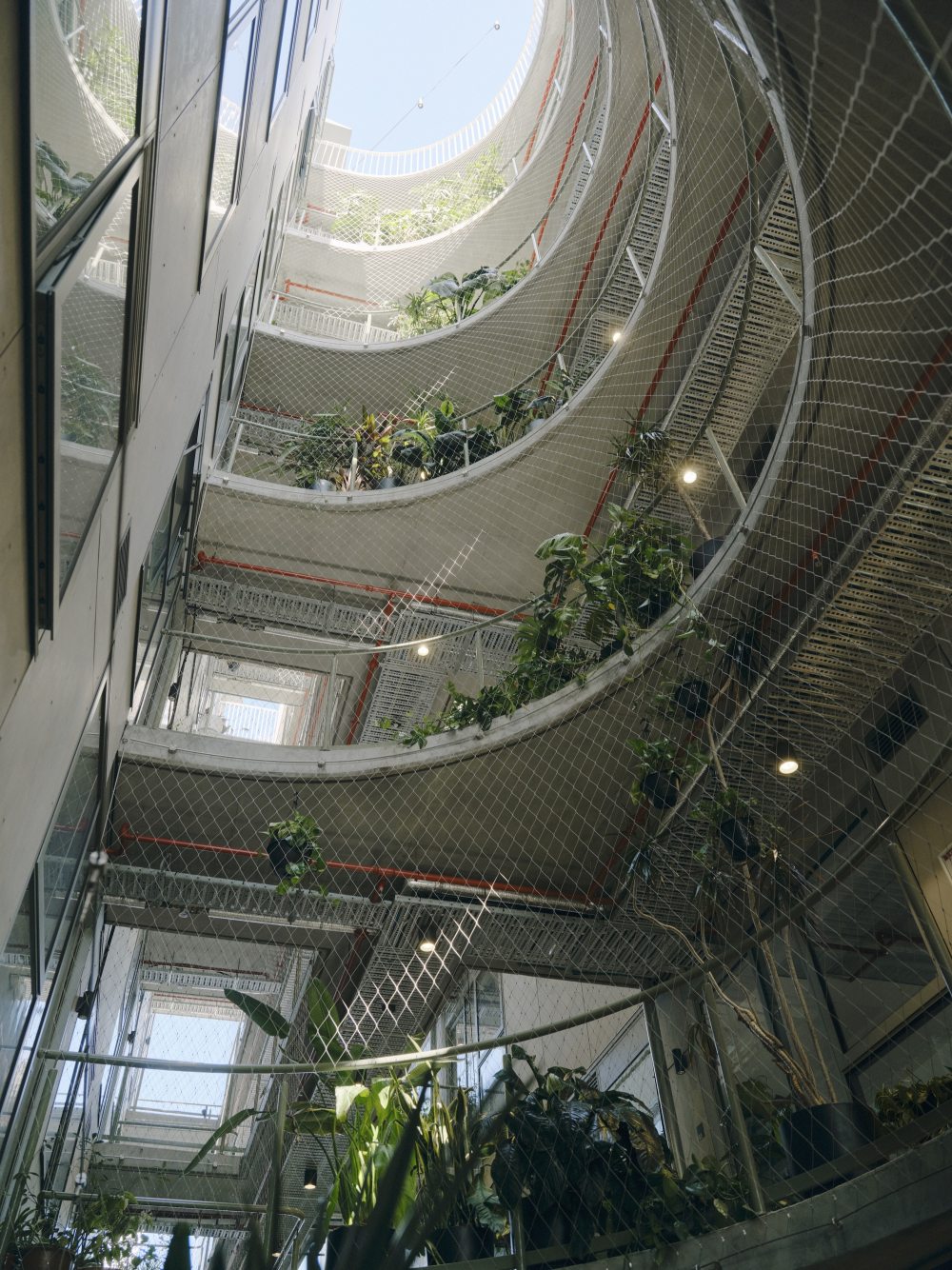 Albermarle街38号公寓楼丨澳大利亚墨尔本丨Fieldwork-31