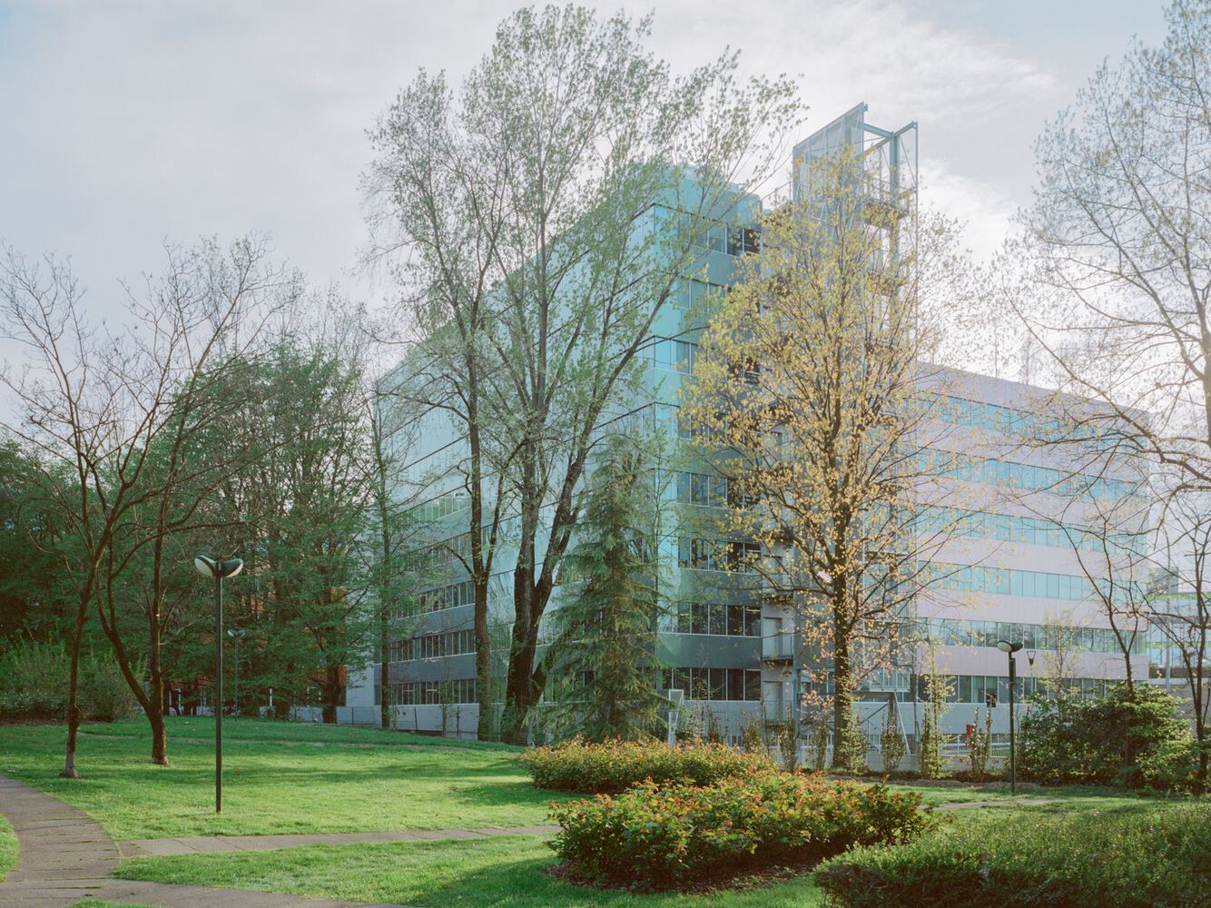 赞比亚 Segreen Business Park 商业园区丨Studio Elementare-13