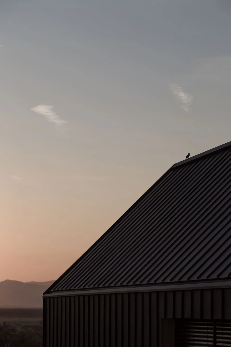 LIA – 在黑色墙壁后面丨Austria丨STEINBAUER architektur+design-19