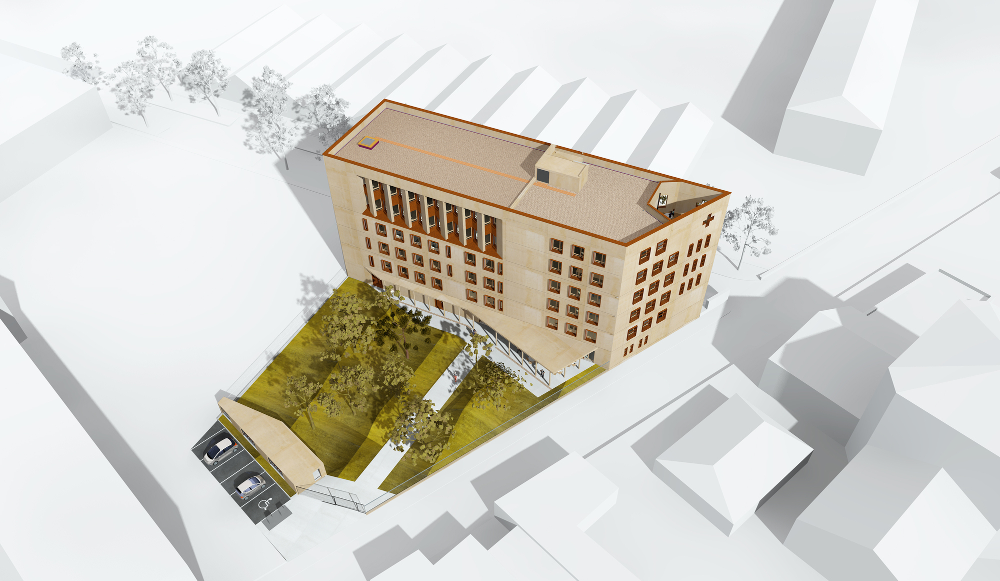 红新月地区健康与社会培训学院-49