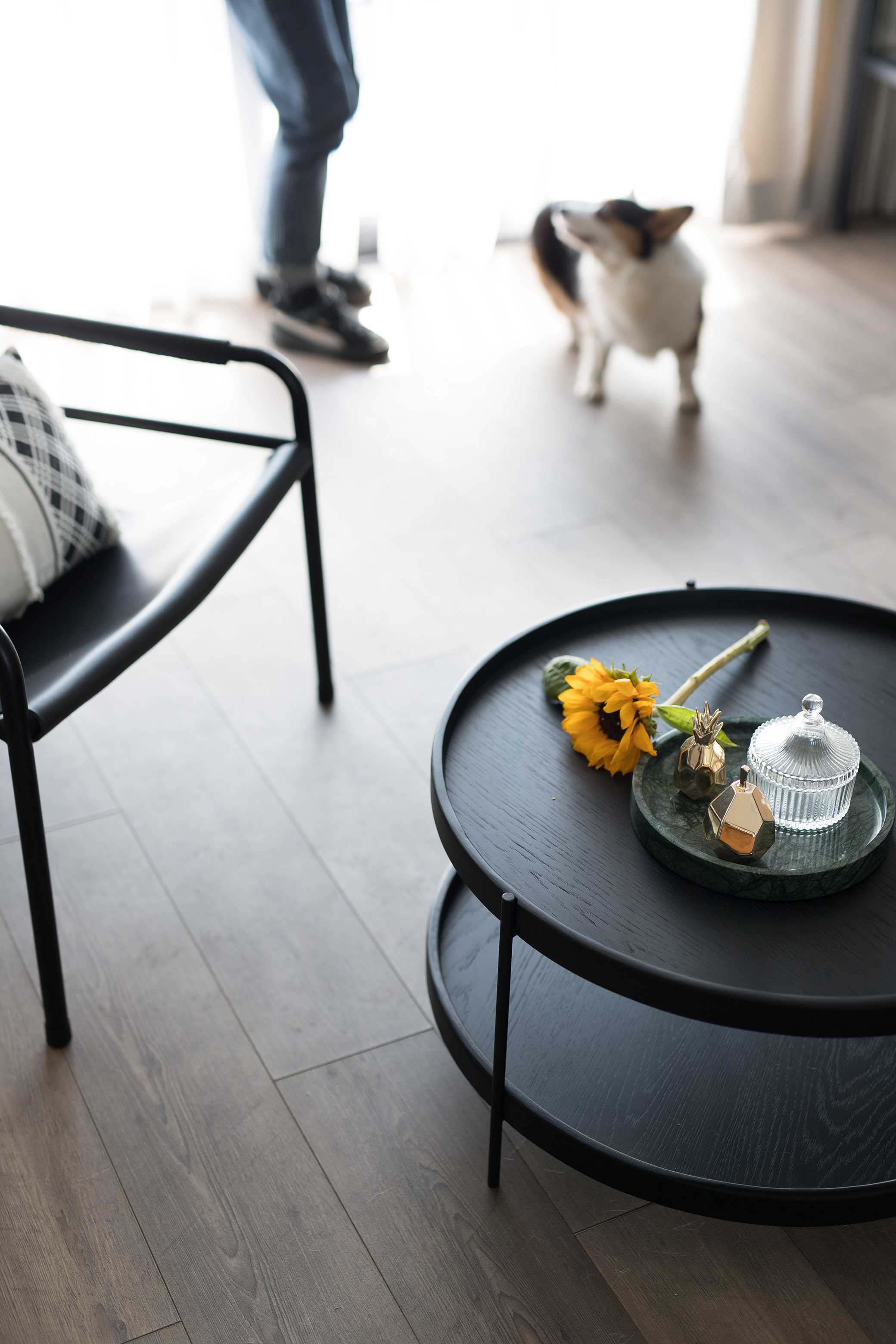 浓意 ｜家有两柯基的蜜意之家-24