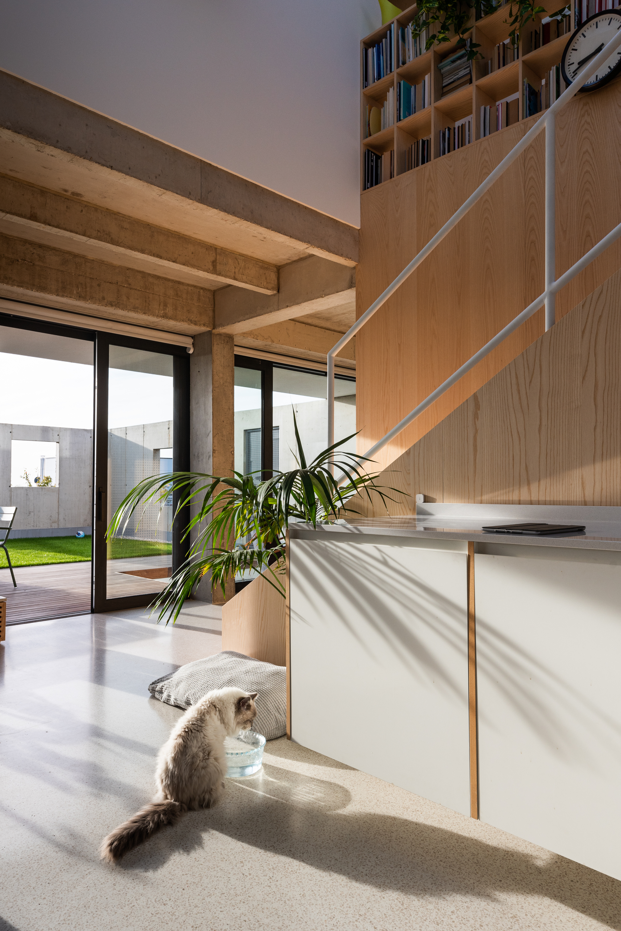 适合有宠物的家庭的房子丨斯洛伐克布拉迪斯拉发丨Sadovsky & Architects-36