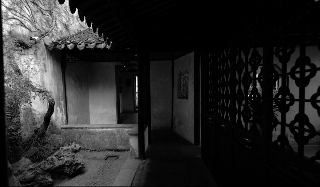 "一体两面"的崇明东滩湿地科研宣教中心-77