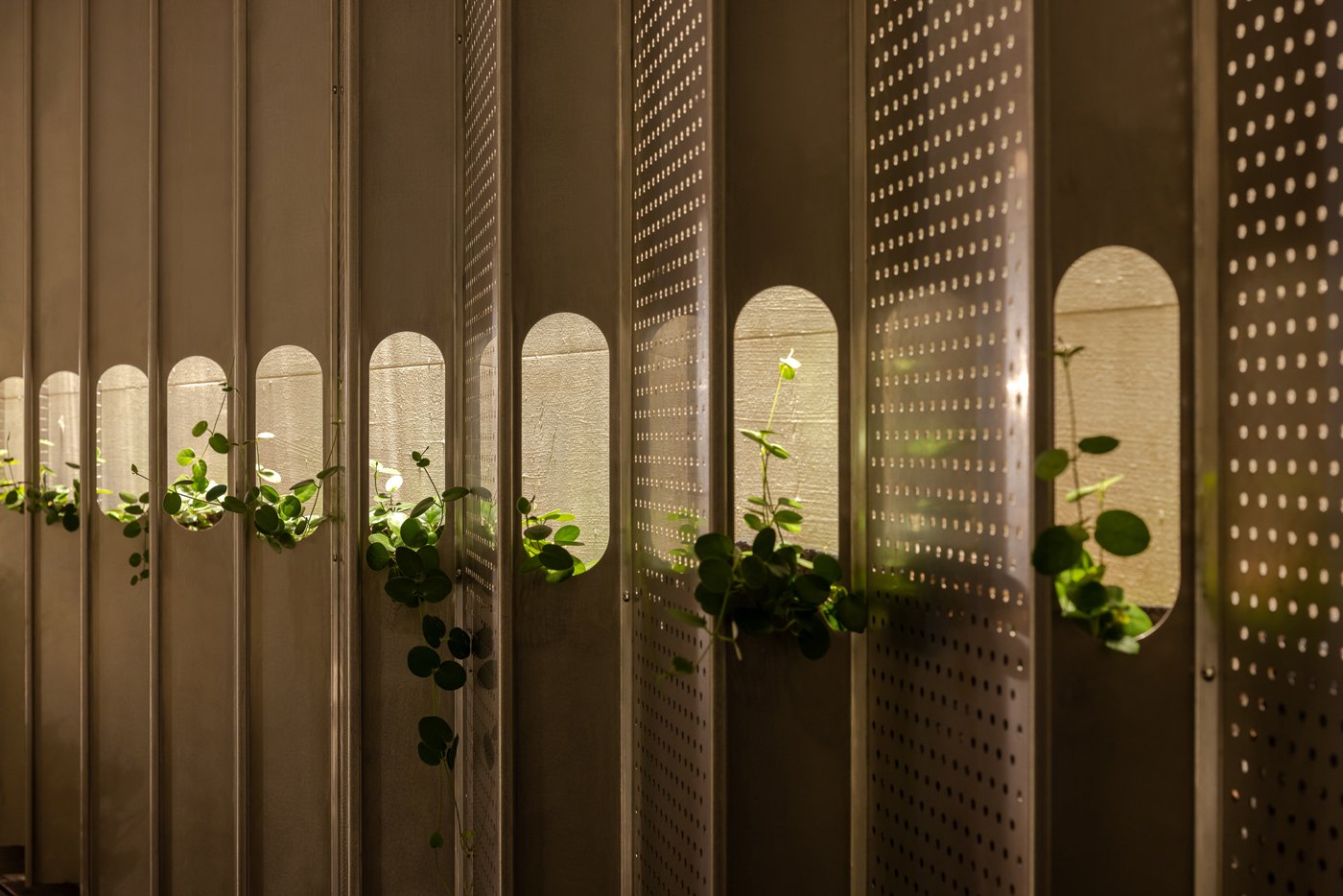 以金屬沖孔板演繹「融合與再現」的建築宣言：「COFFEE LAW 山物所」在日式庭園，映照百年町屋的歲月光澤和詩意 — Hey!Cheese-12