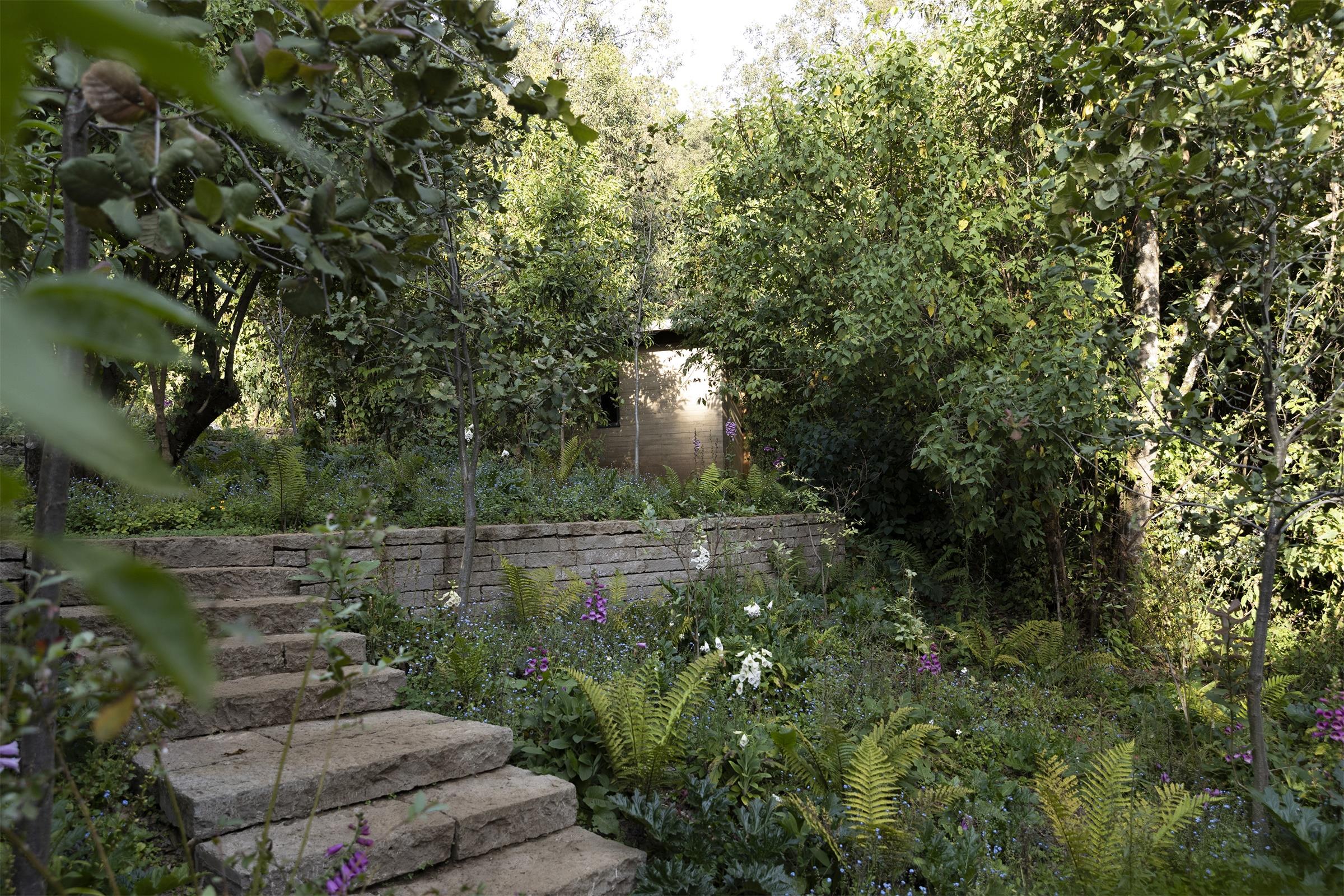 墨西哥森林花园-27