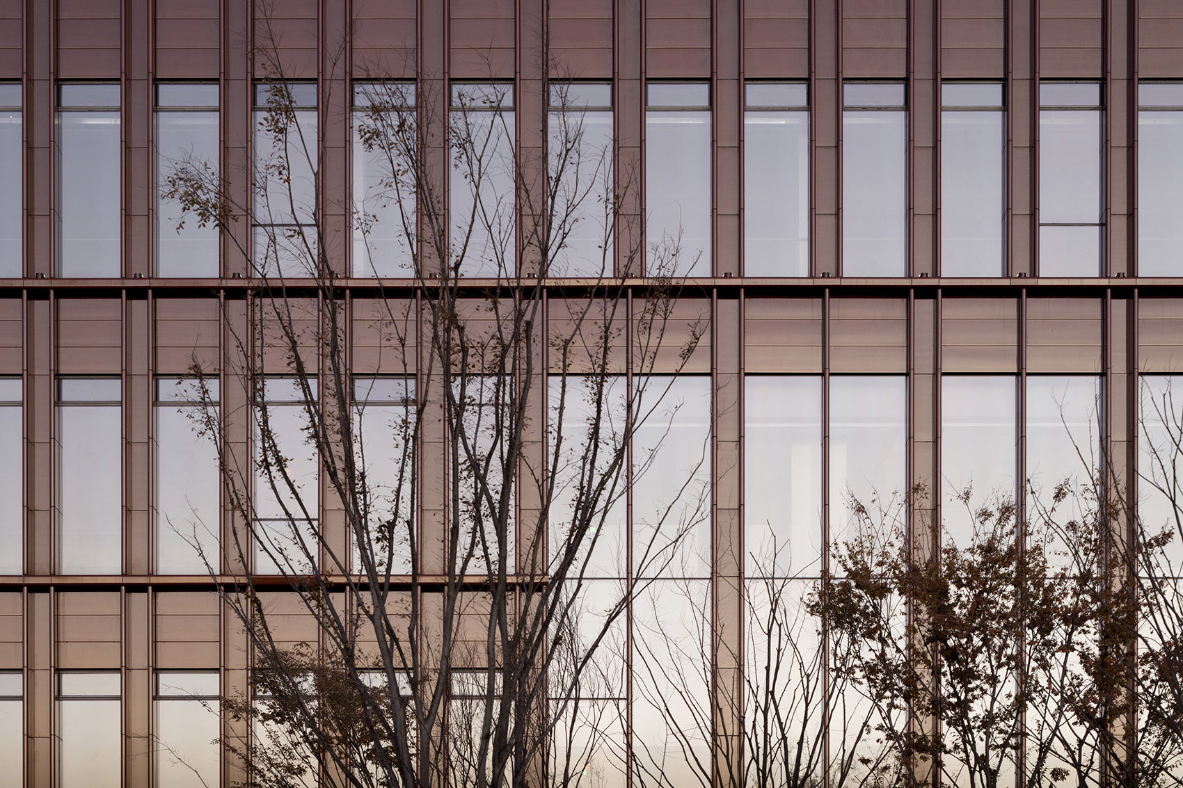 世博滨江·鼎博大厦，上海 / David Chipperfield Architects-27