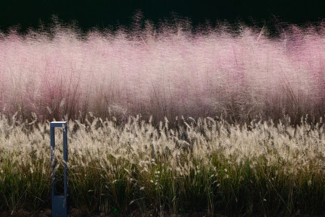 自由流动的未来空间 | 东阳·中天中腾·云上名邸-53