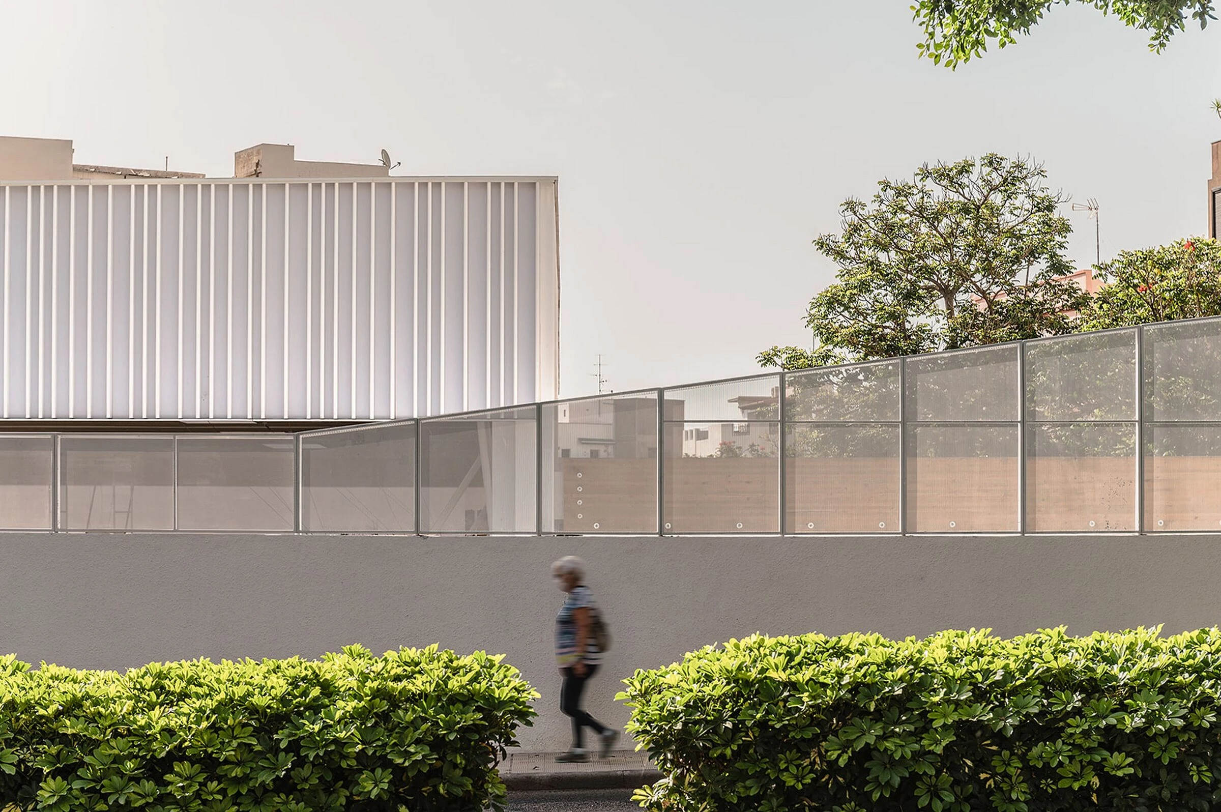 西班牙英语学校的体育运动丨西班牙丨Equipo Olivares Arquitectos-11