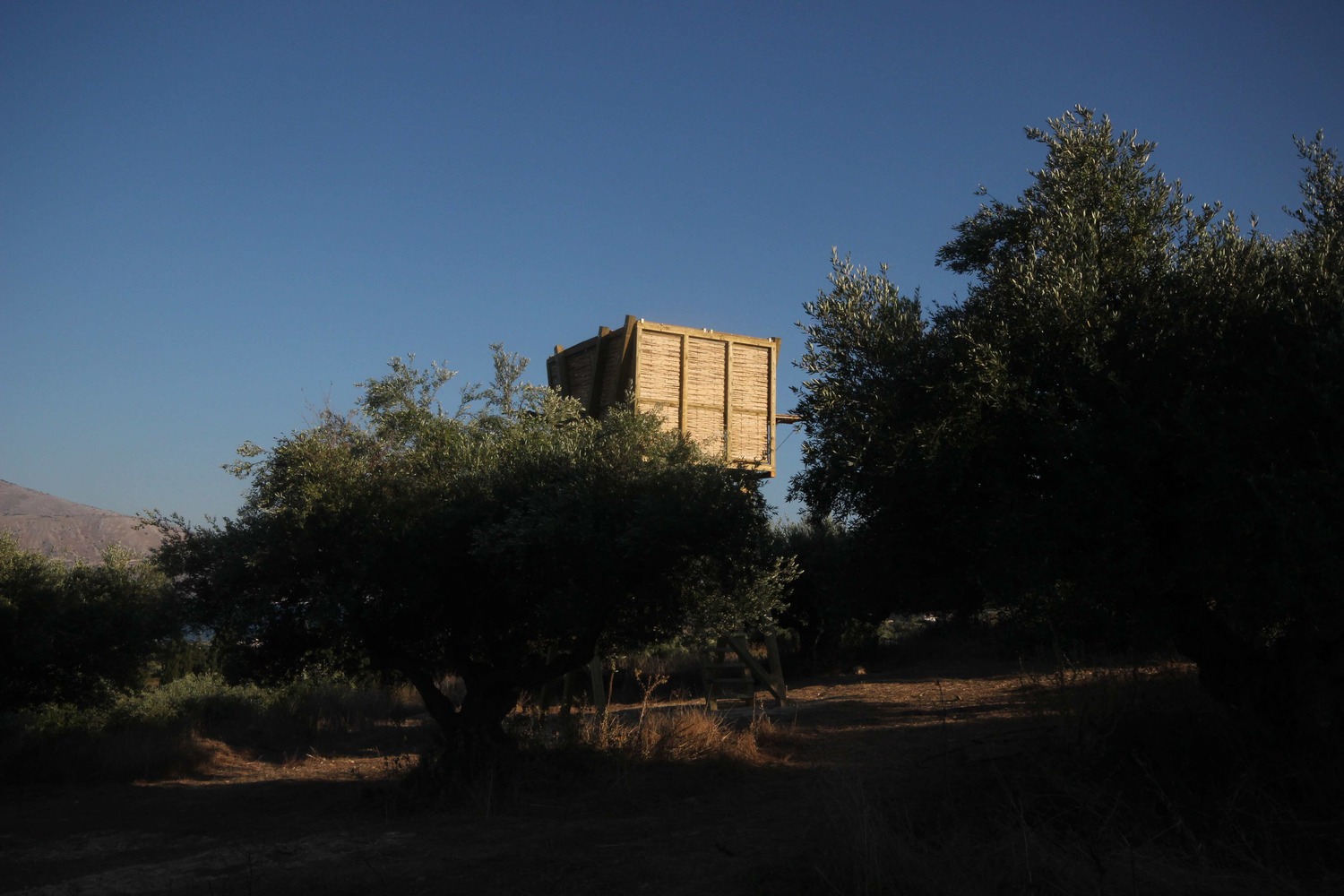 Tragata 临时木结构建筑-35