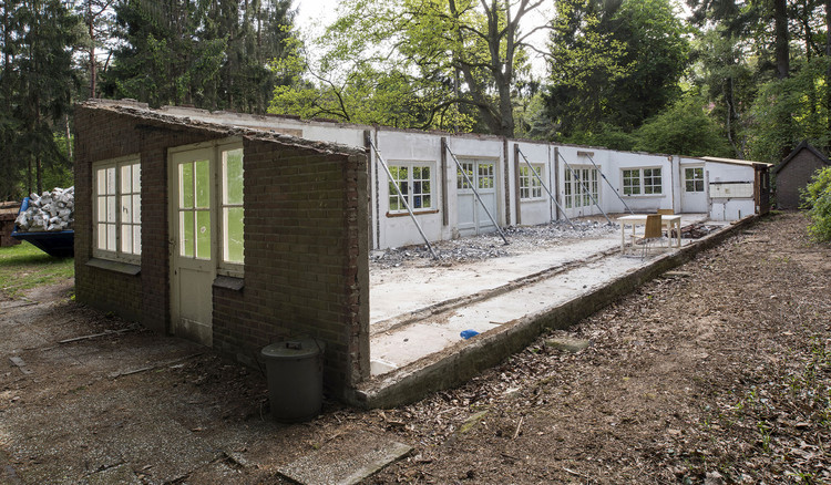 森林中的“阳光假日”-8